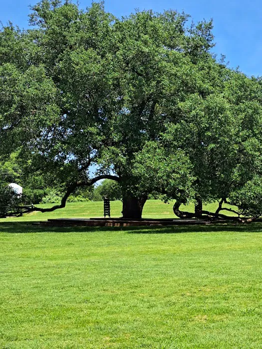 Schulenburg 3 Oaks RV Resort 10