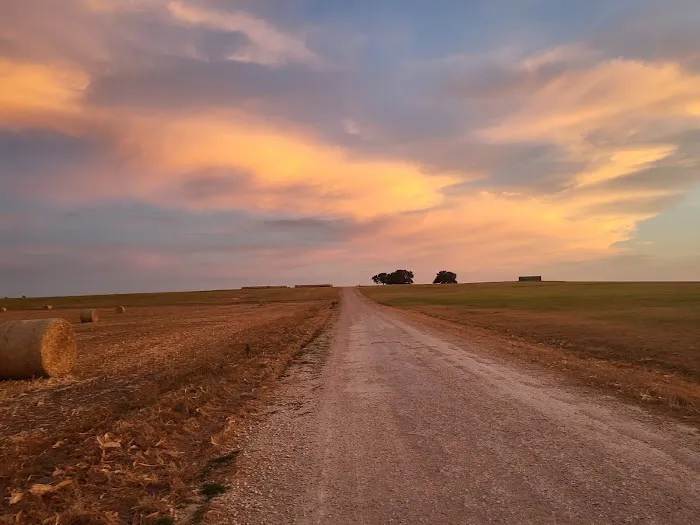 Downtown Texas RV Park 1