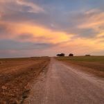 Downtown Texas RV Park