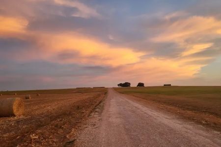 Downtown Texas RV Park