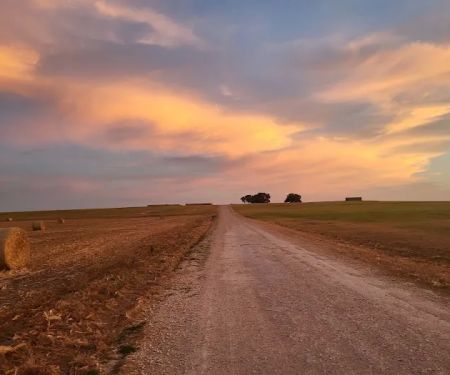Downtown Texas RV Park