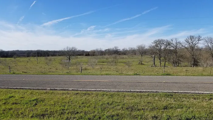 Downtown Texas RV Park 8
