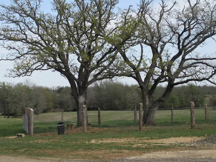 Hwy 21 RV Park and Storage 5