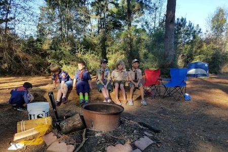 Cub World