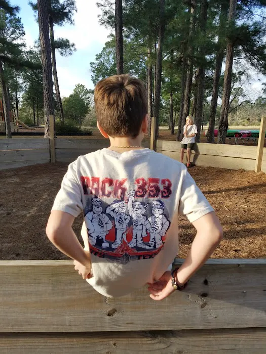 Cub World 4