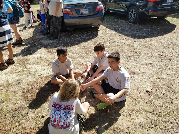 Cub World 5