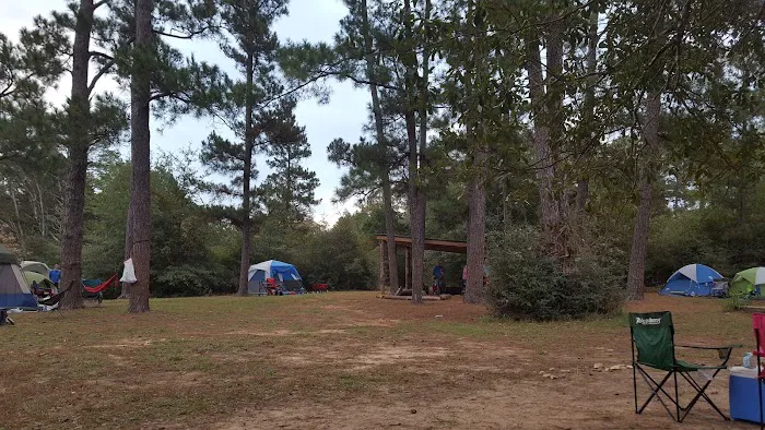 Cub World 7