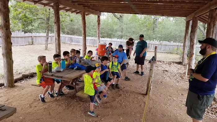 Cub World 8