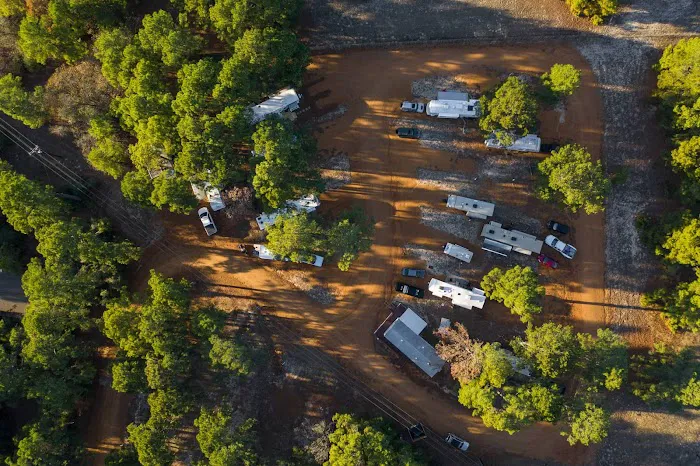 The Pines at Bastrop RV Park 9