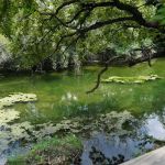 Lampasas Creekside Coach Park