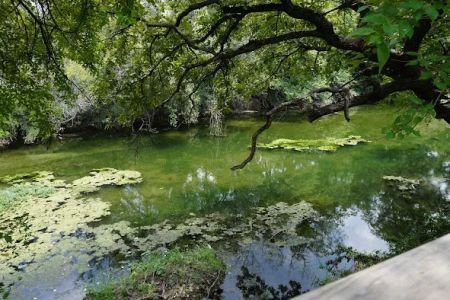 Lampasas Creekside Coach Park