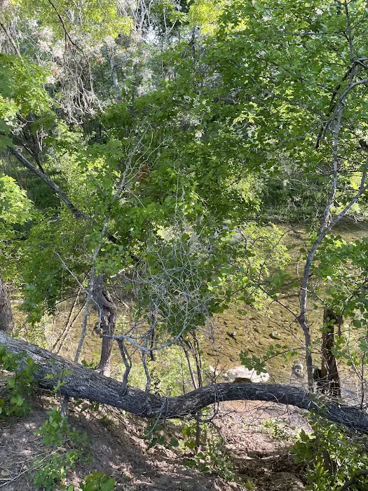 Lampasas Creekside Coach Park 10