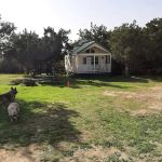 Parrie Haynes Equestrian Center