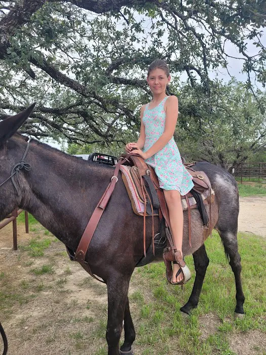 Parrie Haynes Equestrian Center 2