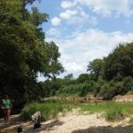 City of Hico's Bosque River RV Park