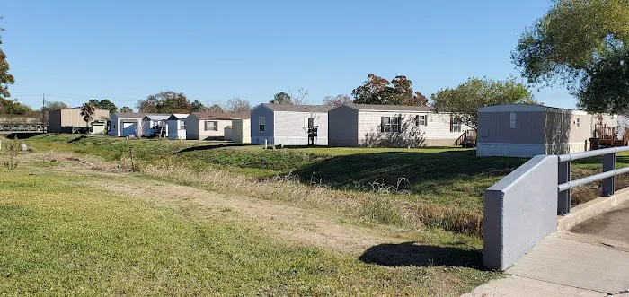 Pecan Plantation 1