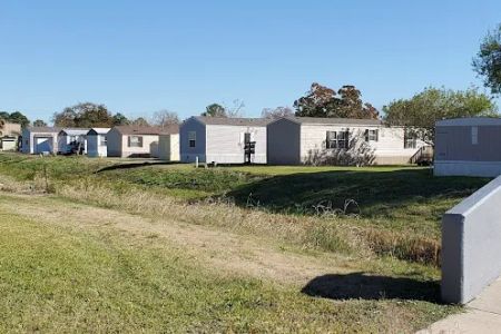 Pecan Plantation
