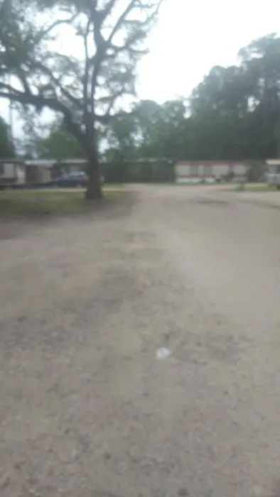 Shady Pines Mobile Home Park 7
