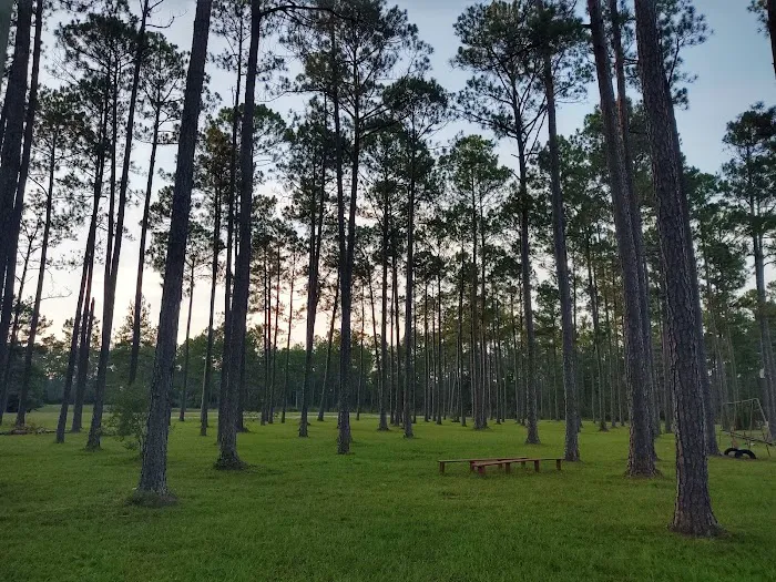Sunroamers RV Resort Park 6