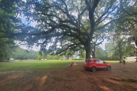 WMA Pearl River WMA Camp Grounds