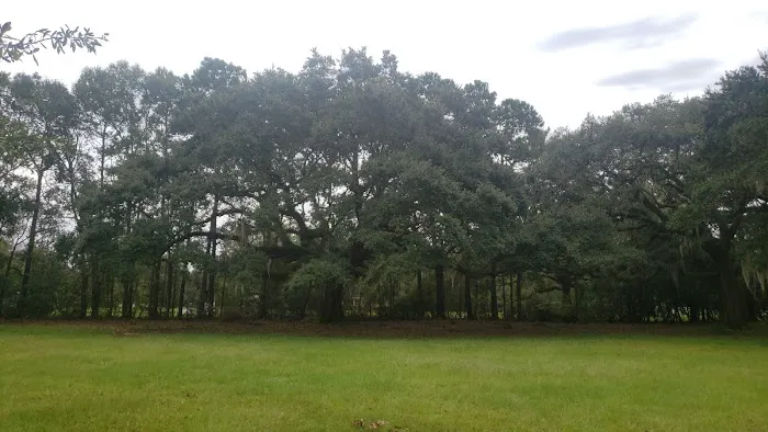 WMA Pearl River WMA Camp Grounds 10