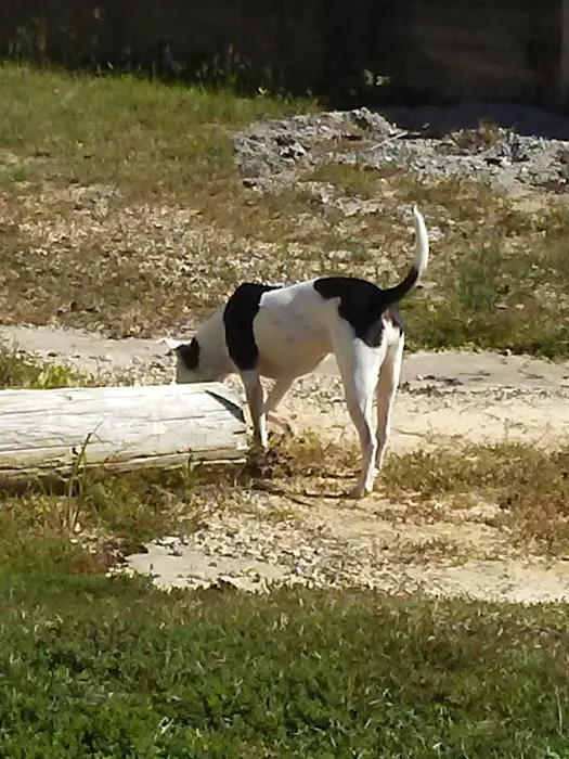 Nella's RV Park 1