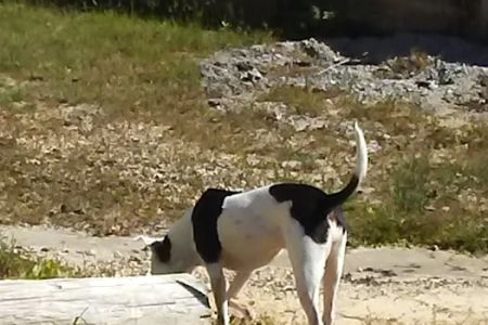 Nella's RV Park
