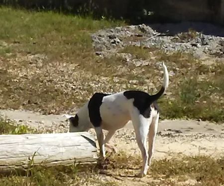 Nella's RV Park