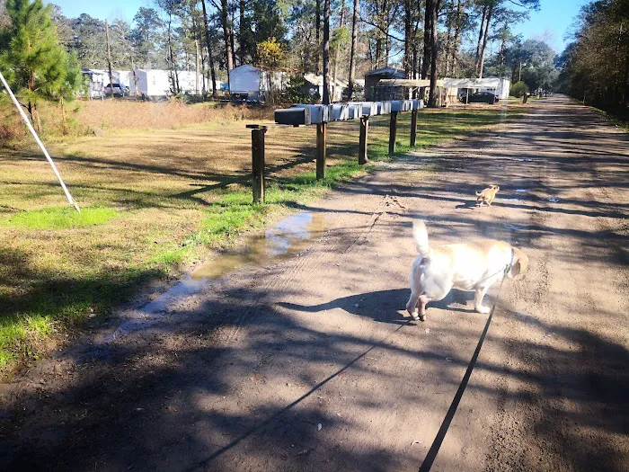 Tammany Mobile Home Park 10