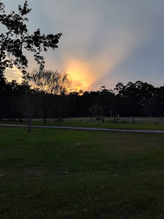 Sunrise RV Park & Campground 6