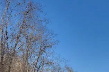 Little Sunflower River Recreation Area