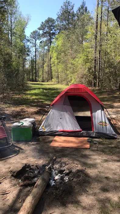 Paul B. Johnson Campground 8