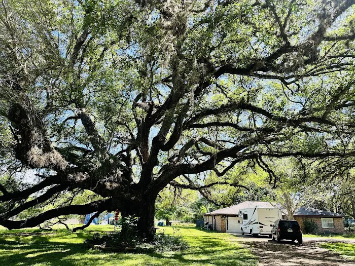 RV Park 5