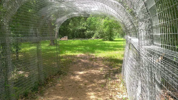 Riverside park camping grounds 2
