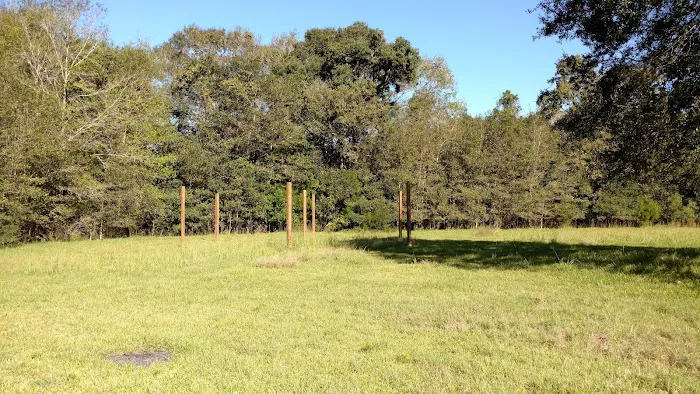 Riverside park camping grounds 3