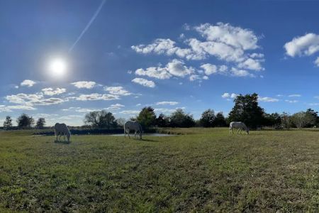 White Horse Ranch and Camping