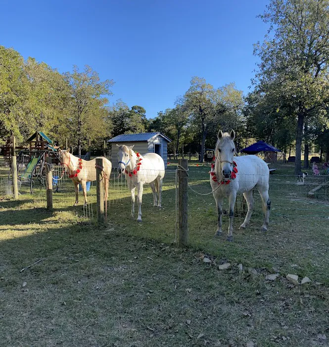 White Horse Ranch and Camping 2