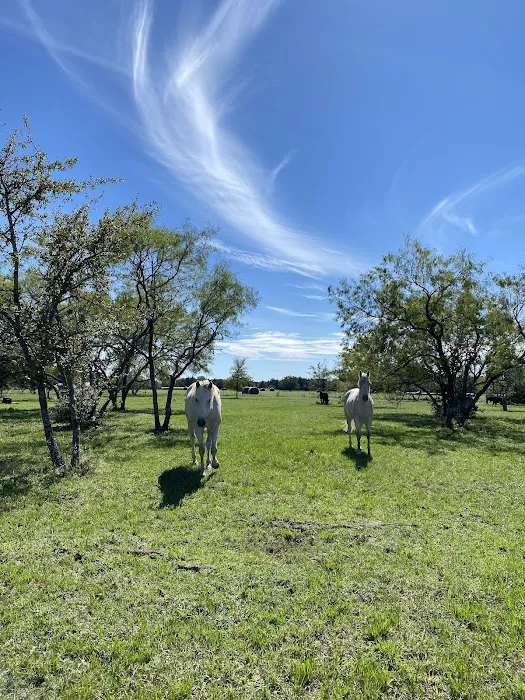 White Horse Ranch and Camping 4