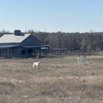 Ez Liv In Rv Park.LLC