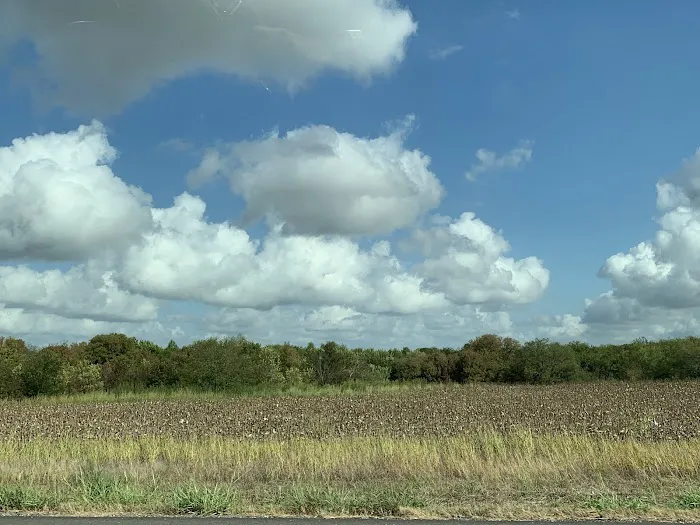 East Austin RV Park 8