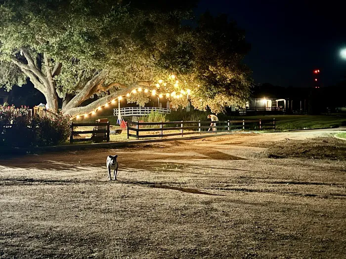 Eagle's Nest Village RV Park 6