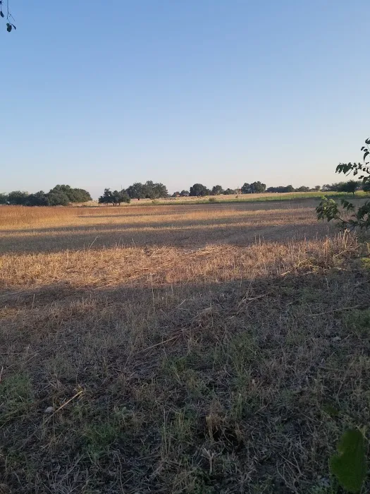 Melody Oaks Ranch 8