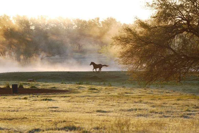Hoof Prints Ranch 3