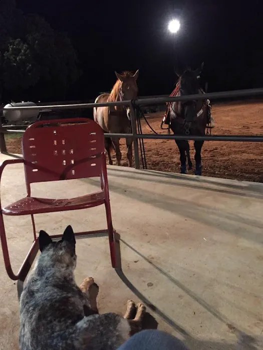 4C's Rodeo Ranch & RV Park 3