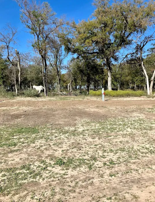 Living Park to Park 4