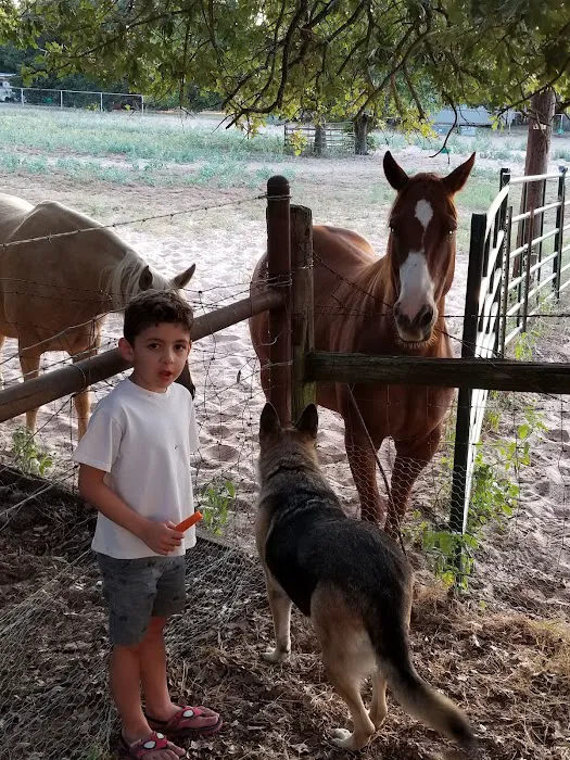 Little Star RV Park, LLC 4
