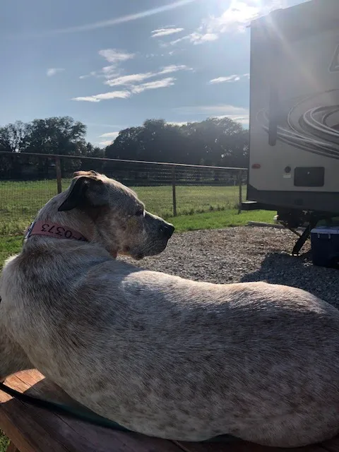 Little Star RV Park, LLC 9