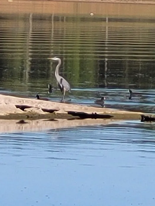 Copperas Creek Park 7
