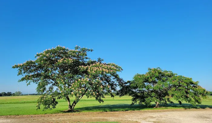 Comanche County RV Park 2