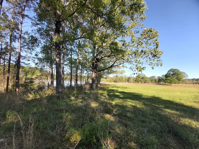 Legends of the Bayou RV Park 5